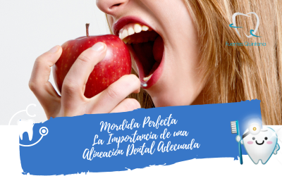 Mordida Perfecta Alineación Dental Adecuada