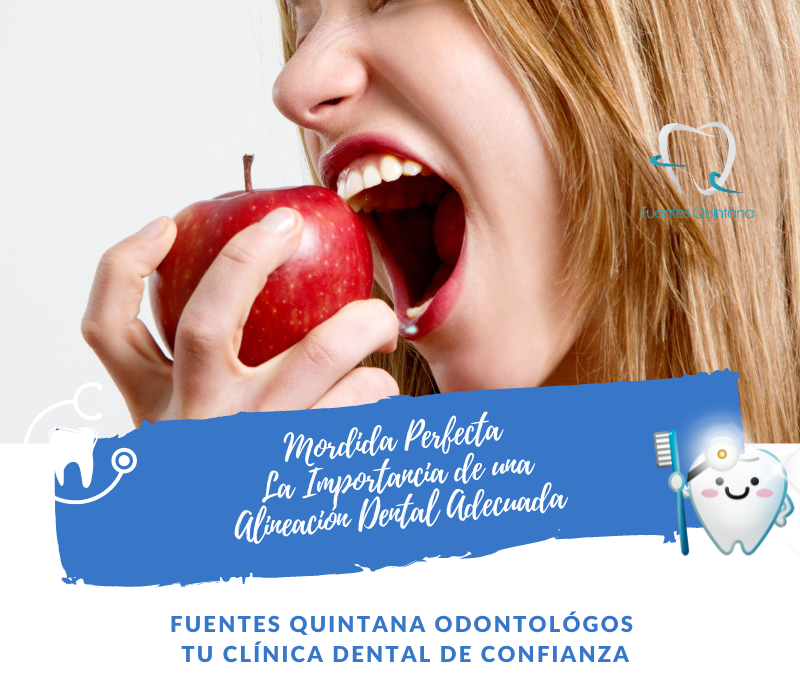 Mordida Perfecta Alineación Dental Adecuada